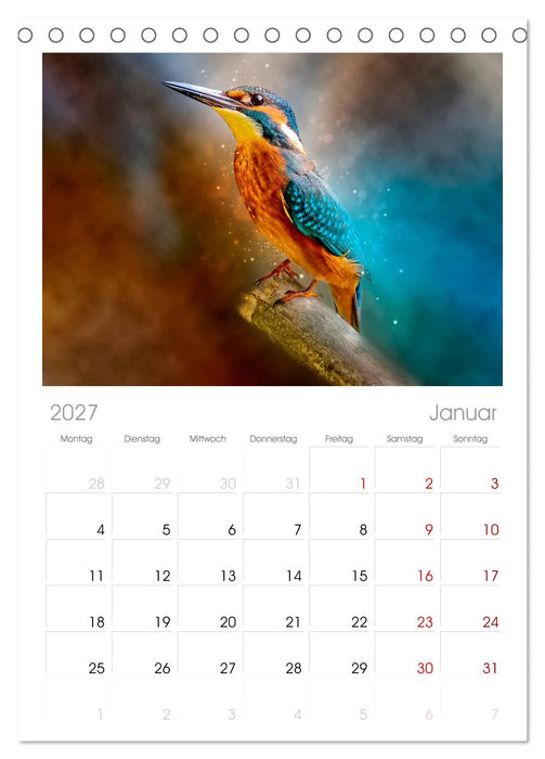 Wunderschöner Eisvogel (CALVENDO Tischplaner A5H 2027)