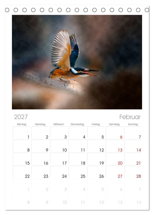 Wunderschöner Eisvogel (CALVENDO Tischplaner A5H 2027)