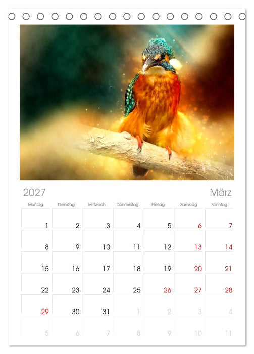 Wunderschöner Eisvogel (CALVENDO Tischplaner A5H 2027)