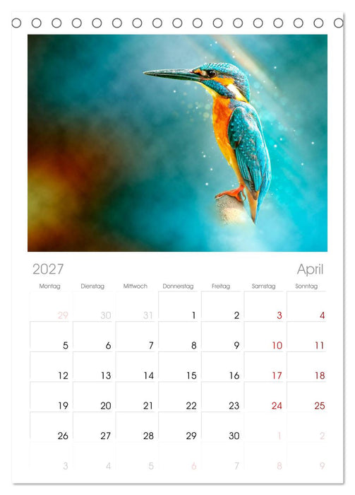 Wunderschöner Eisvogel (CALVENDO Tischplaner A5H 2027)