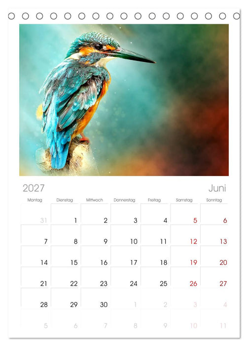 Wunderschöner Eisvogel (CALVENDO Tischplaner A5H 2027)