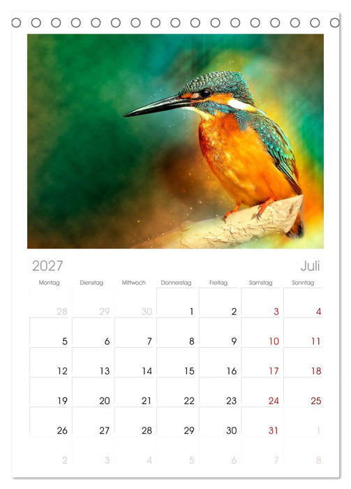 Wunderschöner Eisvogel (CALVENDO Tischplaner A5H 2027)