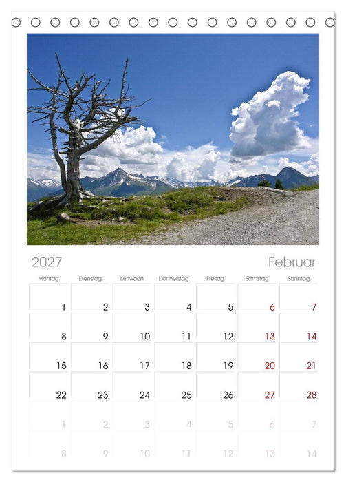 Baum-Variationen (CALVENDO Tischplaner A5H 2027)