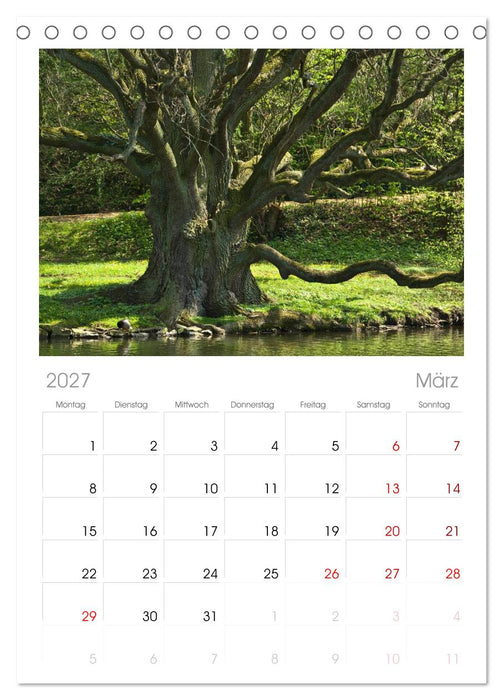 Baum-Variationen (CALVENDO Tischplaner A5H 2027)