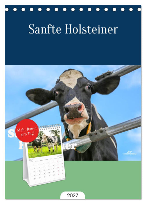 Sanfte Holsteiner (CALVENDO Tischplaner A5H 2027)
