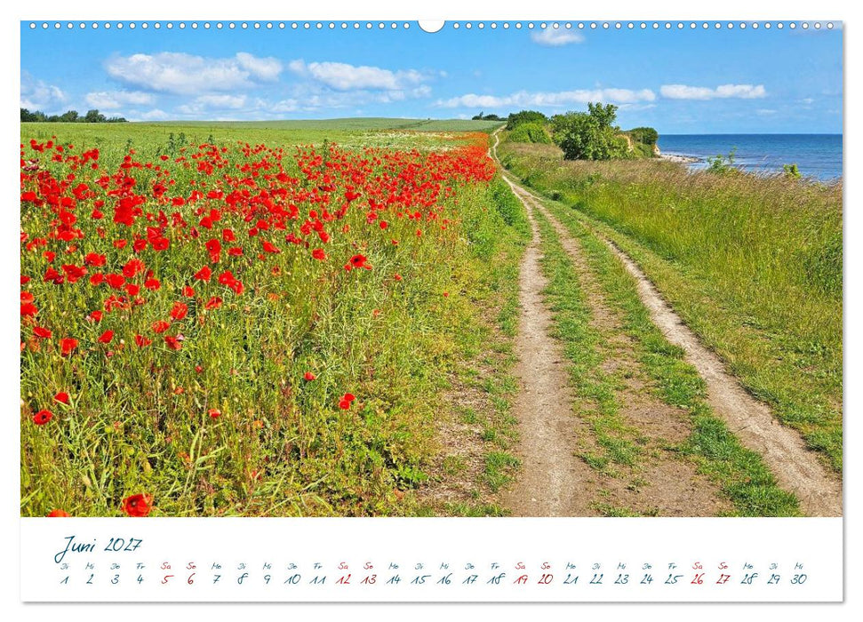 Ostsee - Mon Amour (CALVENDO Wandkalender 2027)