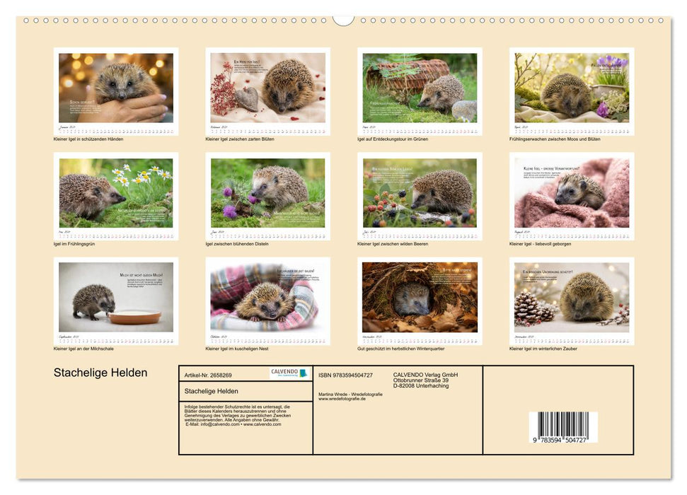 Stachelige Helden (CALVENDO Premium Wandkalender 2027)