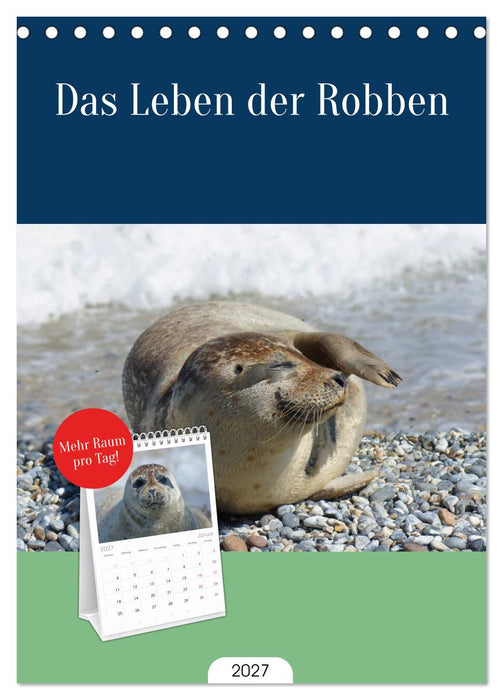Das Leben der Robben (CALVENDO Tischplaner A5H 2027)