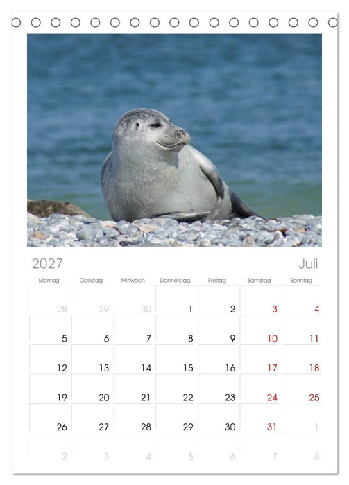 Das Leben der Robben (CALVENDO Tischplaner A5H 2027)