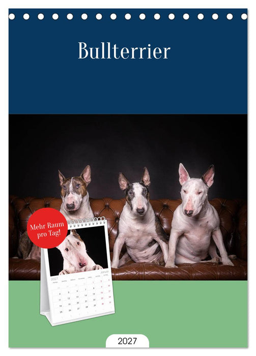 Bullterrier (CALVENDO Tischplaner A5H 2027)
