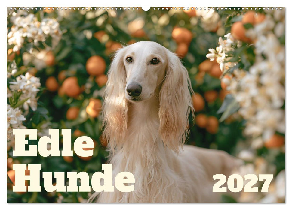 Edle Hunde (CALVENDO Wandkalender 2027)