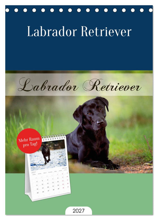 Labrador Retriever (CALVENDO Tischplaner A5H 2027)