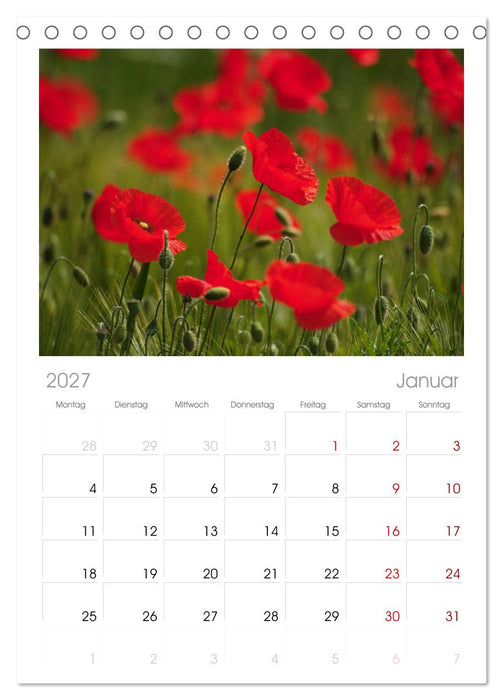 Mohnblumen Träume (CALVENDO Tischplaner A5H 2027)
