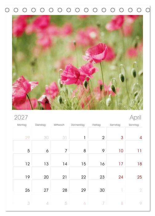 Mohnblumen Träume (CALVENDO Tischplaner A5H 2027)