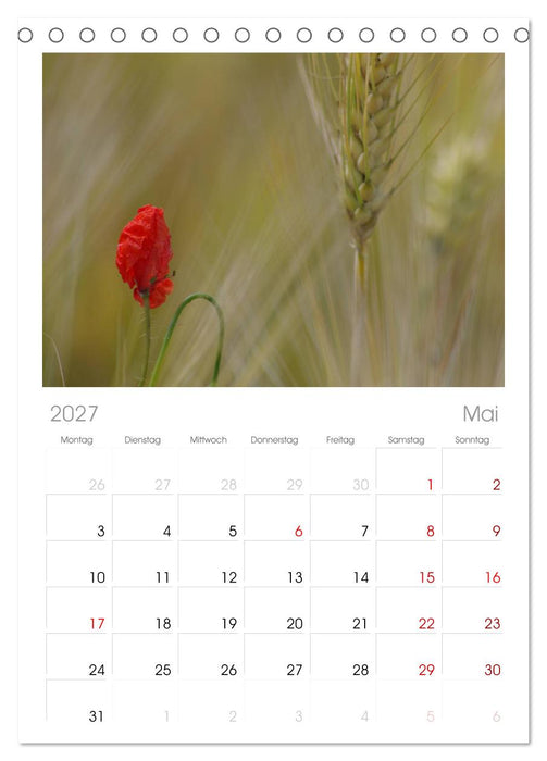 Mohnblumen Träume (CALVENDO Tischplaner A5H 2027)