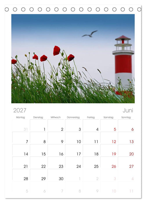 Mohnblumen Träume (CALVENDO Tischplaner A5H 2027)