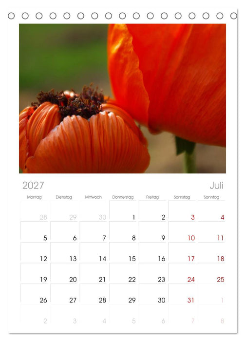 Mohnblumen Träume (CALVENDO Tischplaner A5H 2027)