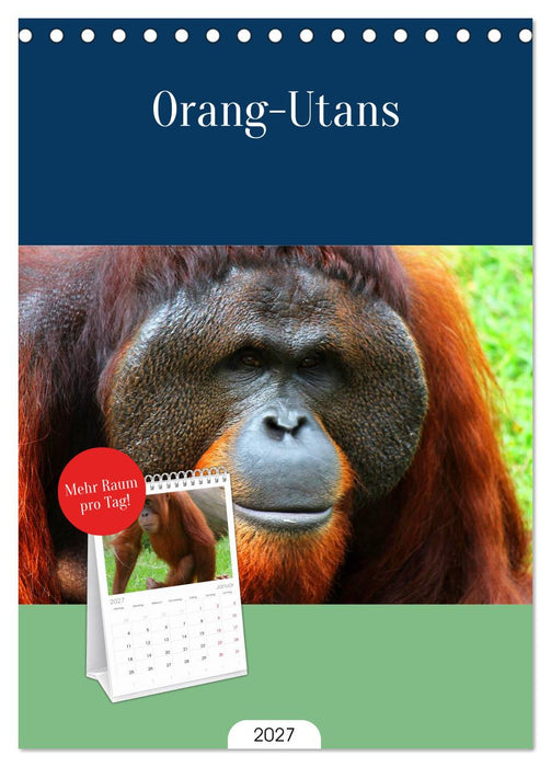 Orang-Utans (CALVENDO Tischplaner A5H 2027)