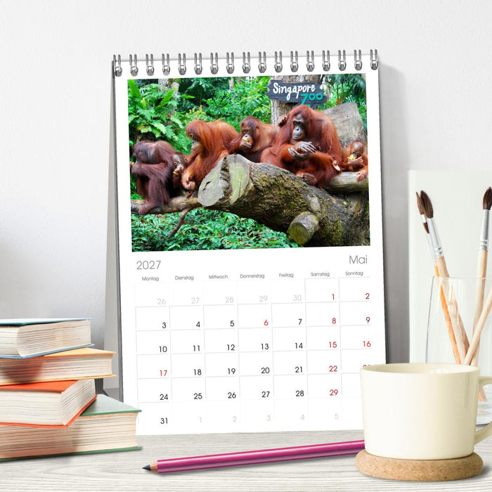 Orang-Utans (CALVENDO Tischplaner A5H 2027)