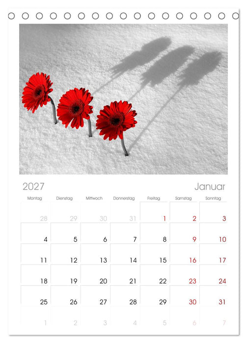 Schwarz - Weiß - Rot (CALVENDO Tischplaner A5H 2027)