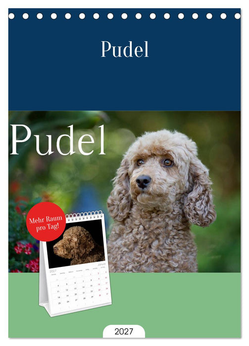 Pudel (CALVENDO Tischplaner A5H 2027)