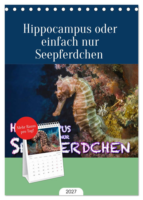 Hippocampus oder einfach nur Seepferdchen (CALVENDO Tischplaner A5H 2027)