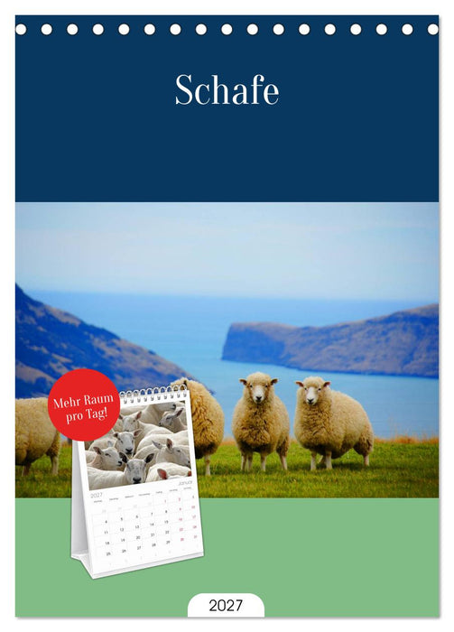Schafe (CALVENDO Tischplaner A5H 2027)
