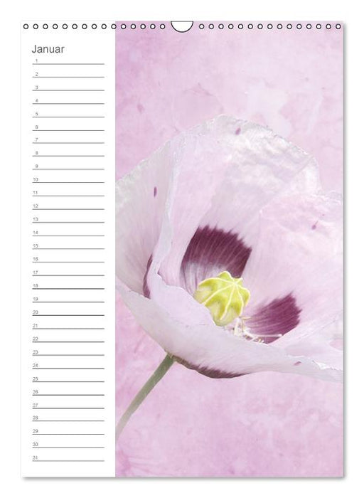 Zarte Blüten / Geburtstagskalender (Wandkalender immerwährend DIN A3 hoch) (CALVENDO Wandkalender 0)