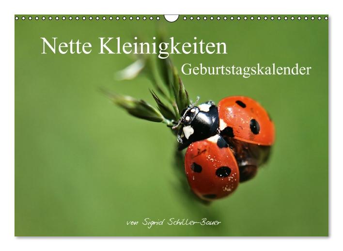 Geburtstagskalender "Nette Kleinigkeiten" (Wandkalender immerwährend DIN A3 quer) (CALVENDO Wandkalender 0)