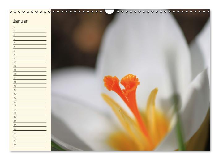 Geburtstagskalender "Nette Kleinigkeiten" (Wandkalender immerwährend DIN A3 quer) (CALVENDO Wandkalender 0)