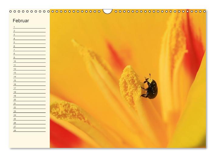Geburtstagskalender "Nette Kleinigkeiten" (Wandkalender immerwährend DIN A3 quer) (CALVENDO Wandkalender 0)