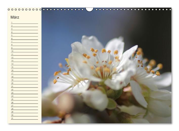 Geburtstagskalender "Nette Kleinigkeiten" (Wandkalender immerwährend DIN A3 quer) (CALVENDO Wandkalender 0)