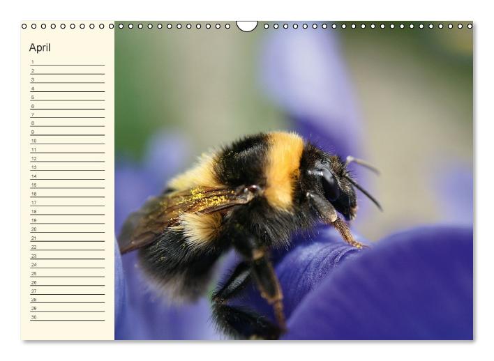Geburtstagskalender "Nette Kleinigkeiten" (Wandkalender immerwährend DIN A3 quer) (CALVENDO Wandkalender 0)
