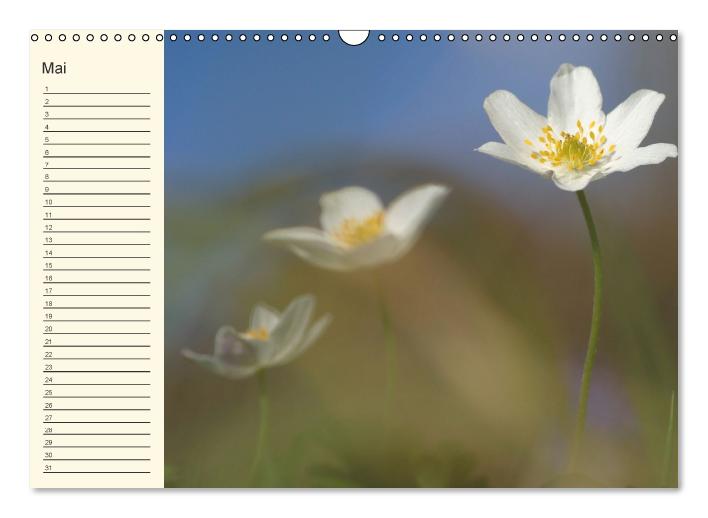 Geburtstagskalender "Nette Kleinigkeiten" (Wandkalender immerwährend DIN A3 quer) (CALVENDO Wandkalender 0)