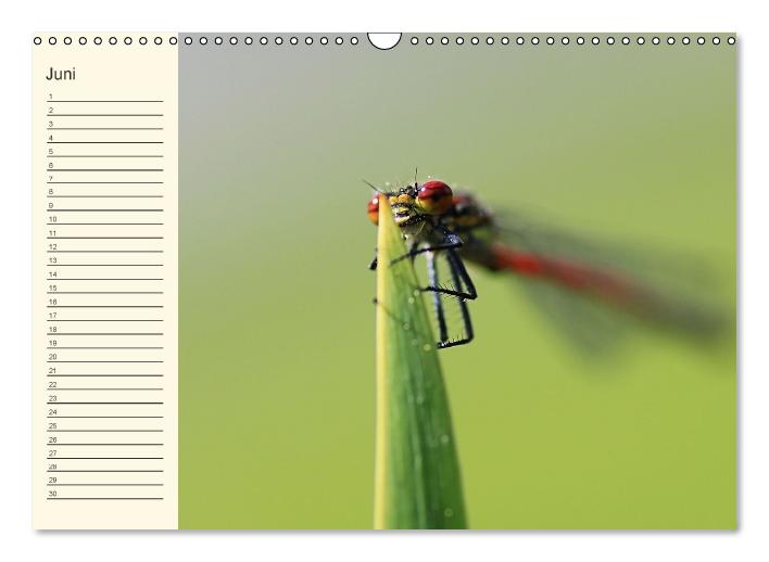 Geburtstagskalender "Nette Kleinigkeiten" (Wandkalender immerwährend DIN A3 quer) (CALVENDO Wandkalender 0)