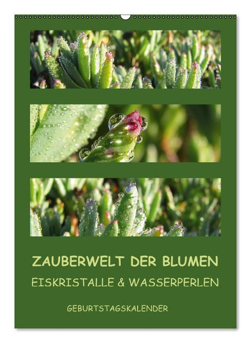 Zauberwelt der Blumen - Eiskristalle & Wasserperlen / Geburtstagskalender (Wandkalender immerwährend DIN A2 hoch) (CALVENDO Wandkalender 2013)