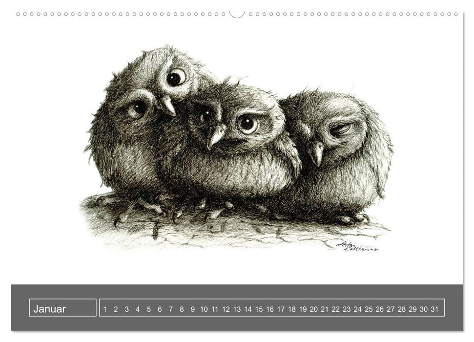 owls & friends Immerwährender Kalender (Wandkalender immerwährend DIN A2 quer) (CALVENDO Wandkalender 2014)