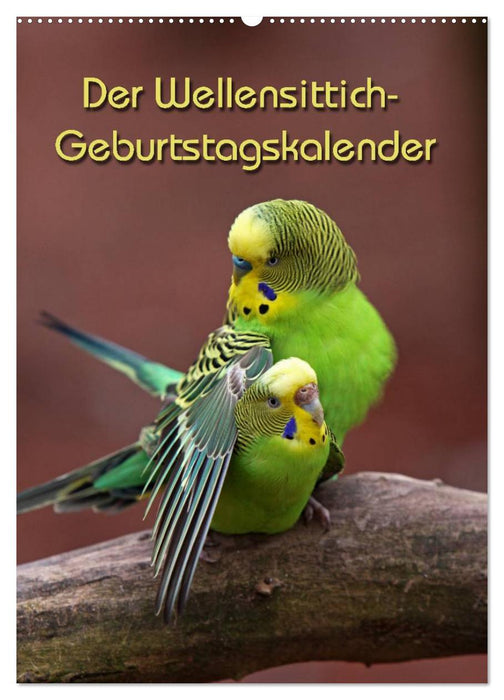 Der Wellensittich-Geburtstagskalender (CALVENDO Wandkalender 2013)