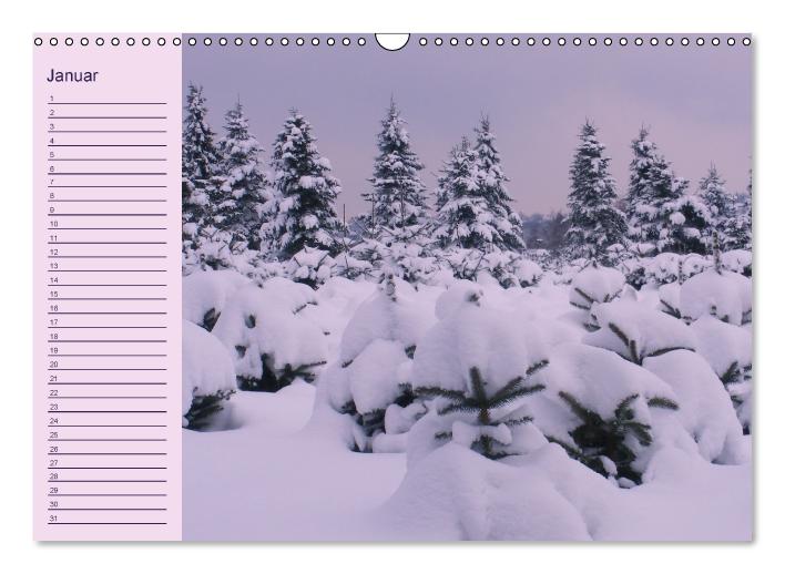Geburtstagskalender (Wandkalender immerwährend DIN A3 quer) (CALVENDO Wandkalender 0)