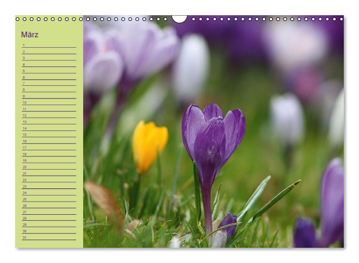 Geburtstagskalender (Wandkalender immerwährend DIN A3 quer) (CALVENDO Wandkalender 0)