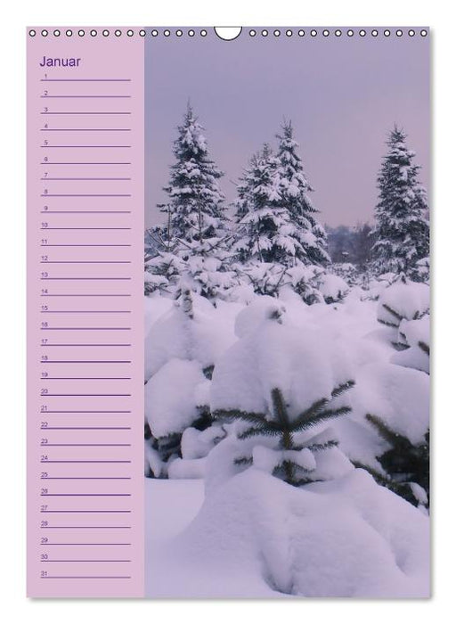 Der Geburtstagskalender (Wandkalender immerwährend DIN A3 hoch) (CALVENDO Wandkalender 0)