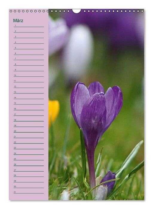 Der Geburtstagskalender (Wandkalender immerwährend DIN A3 hoch) (CALVENDO Wandkalender 0)