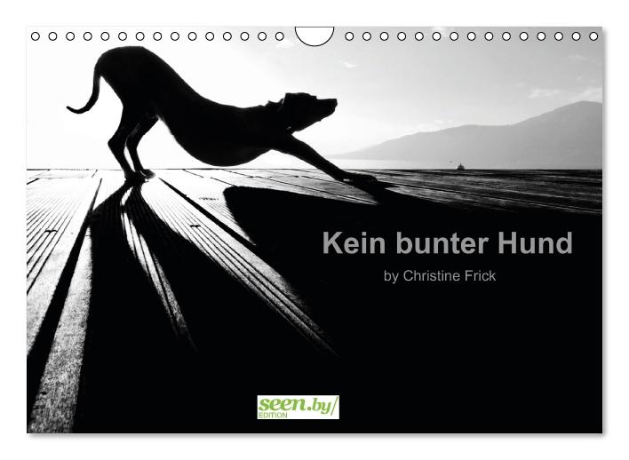 Kein bunter Hund (Wandkalender immerwährend DIN A4 quer) (CALVENDO Wandkalender 0)