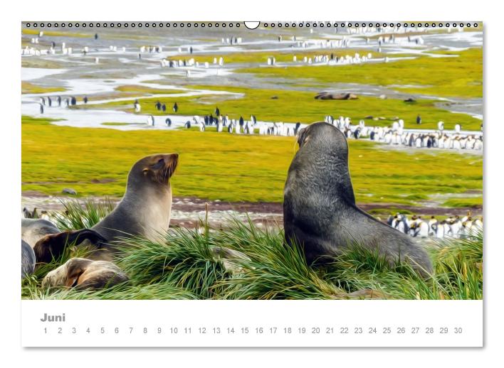 ANTARKTIS (Wandkalender immerwährend DIN A2 quer) (CALVENDO Wandkalender 2014)