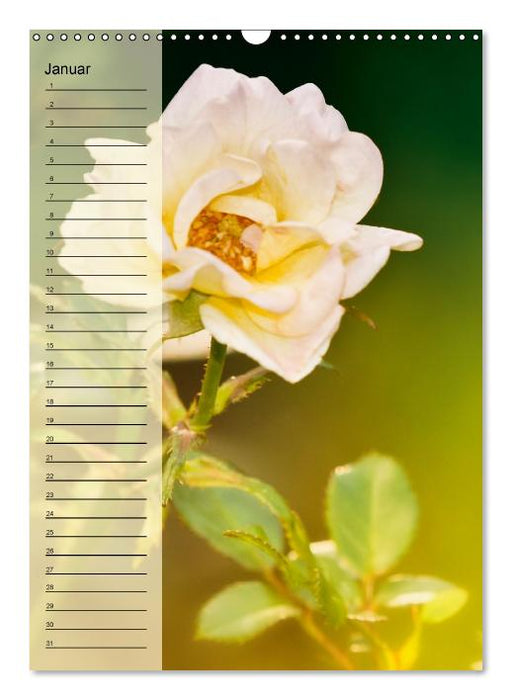 Immerwährender Geburtstagskalender - Blütenträume (Wandkalender immerwährend DIN A3 hoch) (CALVENDO Wandkalender 0)