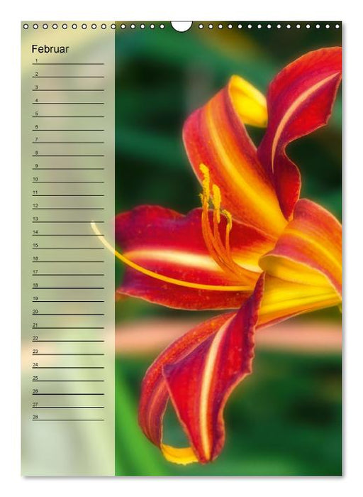 Immerwährender Geburtstagskalender - Blütenträume (Wandkalender immerwährend DIN A3 hoch) (CALVENDO Wandkalender 0)