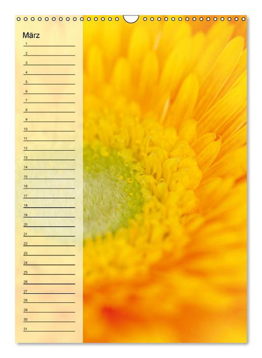 Immerwährender Geburtstagskalender - Blütenträume (Wandkalender immerwährend DIN A3 hoch) (CALVENDO Wandkalender 0)