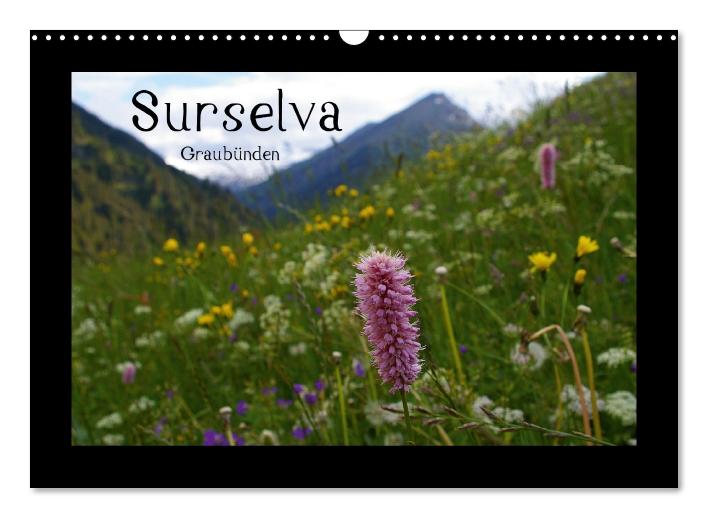 Surselva - Graubünden (Wandkalender immerwährend DIN A3 quer) (CALVENDO Wandkalender 0)