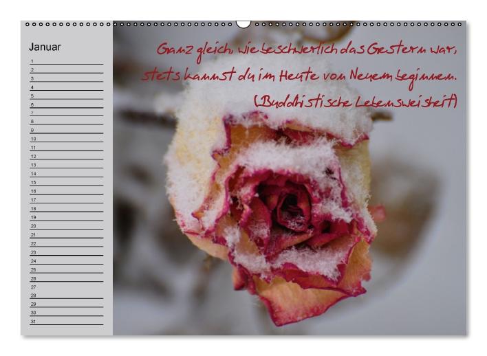 Vergiss mein nicht Geburtstagskalender (Wandkalender immerwährend DIN A2 quer) (CALVENDO Wandkalender 0)