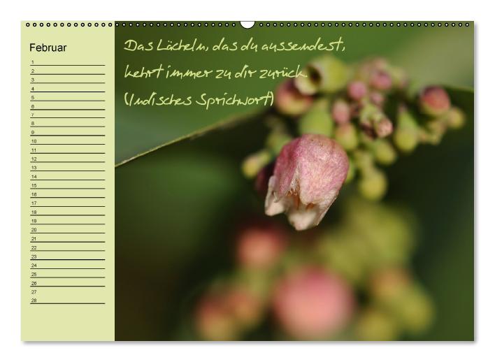 Vergiss mein nicht Geburtstagskalender (Wandkalender immerwährend DIN A2 quer) (CALVENDO Wandkalender 0)